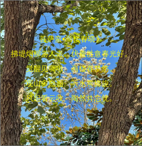 image1.png